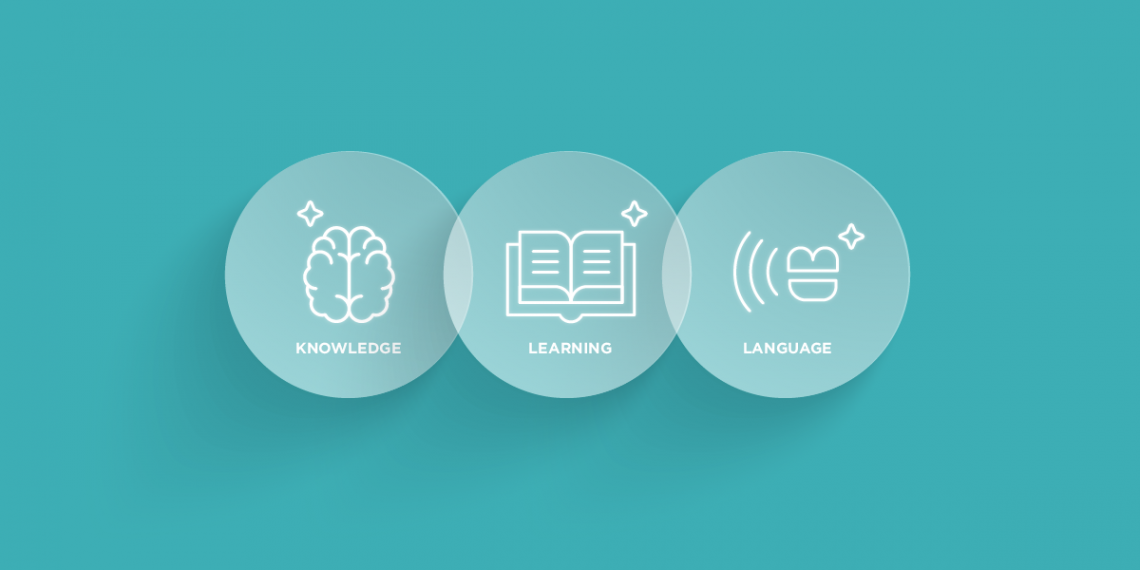 Create an open ecosystem in your business where learning, knowledge and language are your main innovation tools