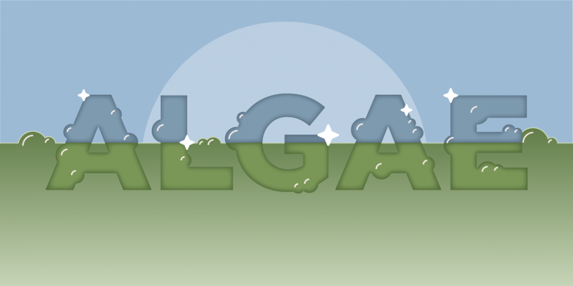 Algae – agent of sustainability innovation